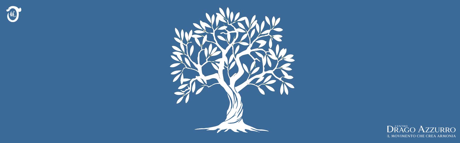 Olivo | Corsi di ginnastica del benessere, ginnastica dolce, posturale, pilates, ginnastica per parkinson | Arti marziali cinesi, Taiji Quan, QiGong, DaoYin e difesa personale | Camin, Camponogara, Campolongo Maggiore, Dolo, Fossò, Fiesso d'Artico, Legnaro, Noventa Padovana, Padova, Ponte di Brenta, Ponte San Niccolò, Sandon, Venezia, Vigonovo, Villatora, Saonara, Stra.